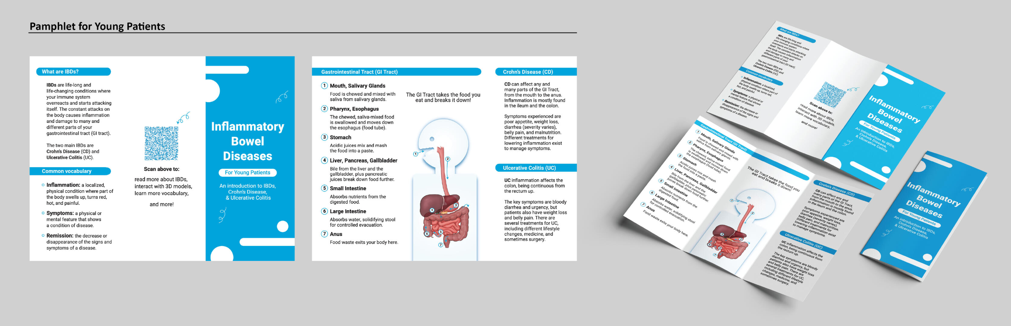 IBDs Pamphlet Young Patients – Adobe Illustrator