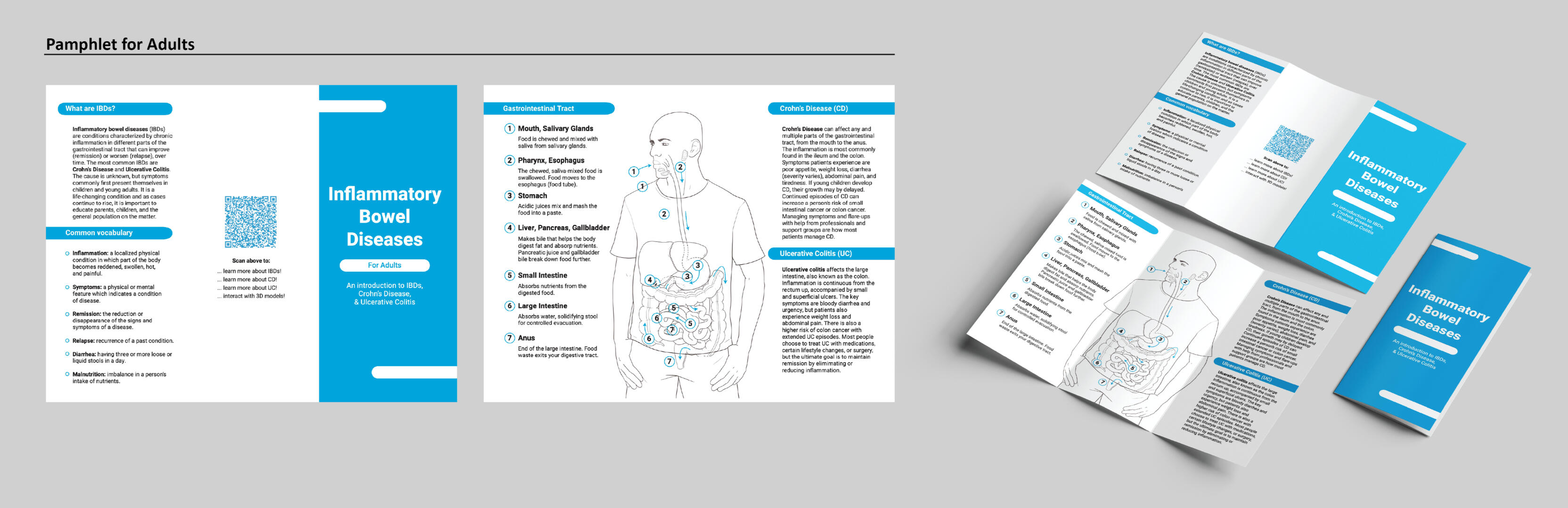 IBDs Pamphlet Adults – Adobe Illustrator