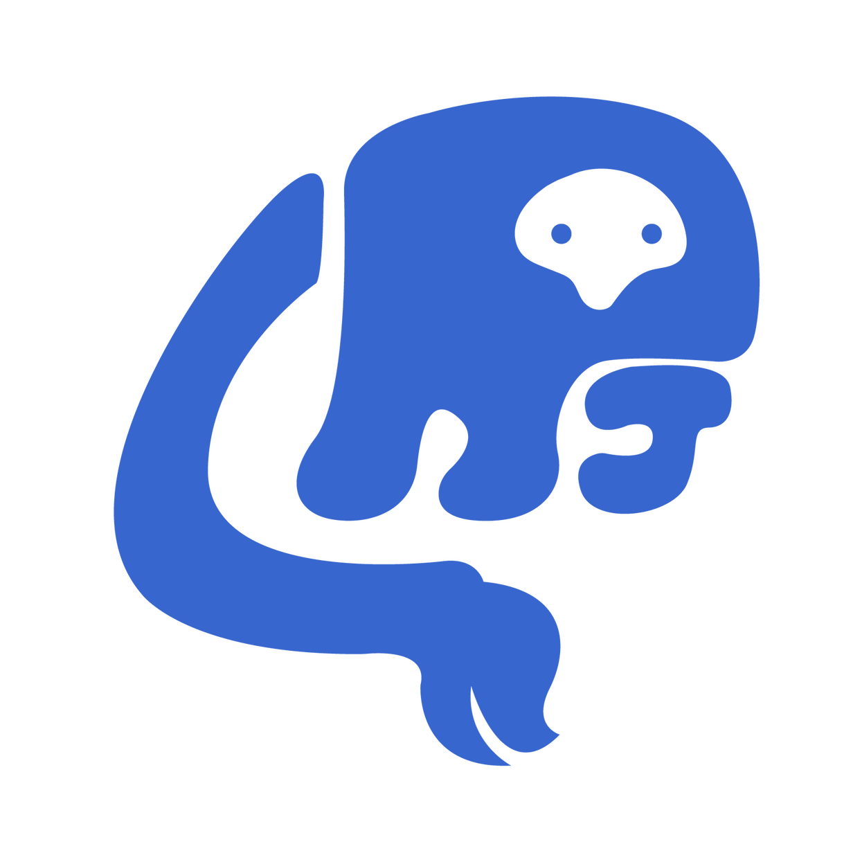 LRJ Visuals Logo